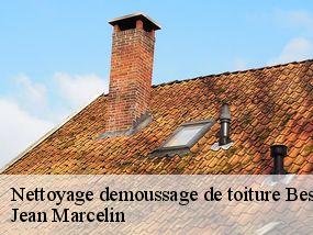 Nettoyage demoussage de toiture  bessan-34550 Jean Marcelin