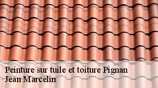 Peinture sur tuile et toiture  pignan-34570 Jean Marcelin